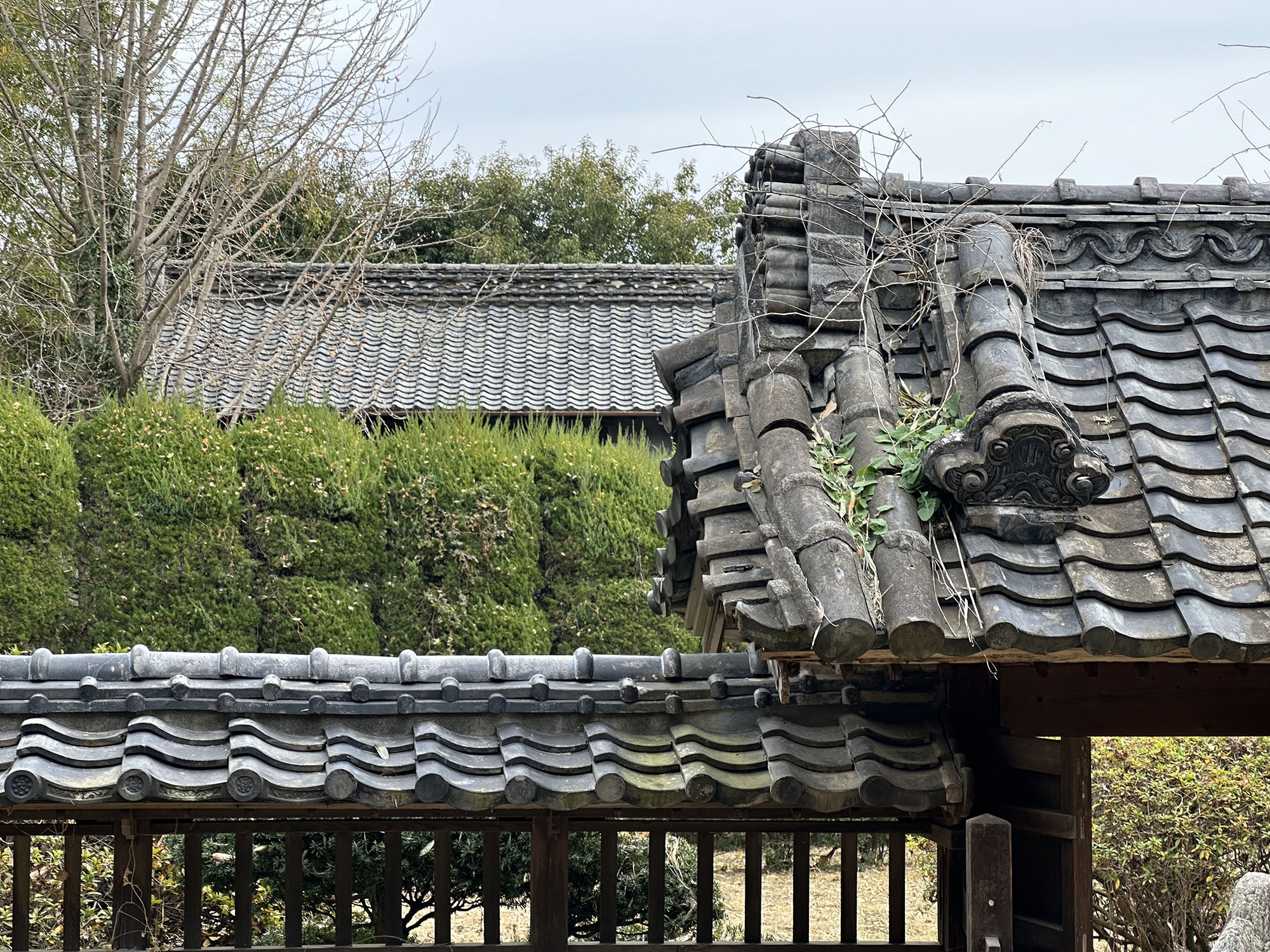 庭門
